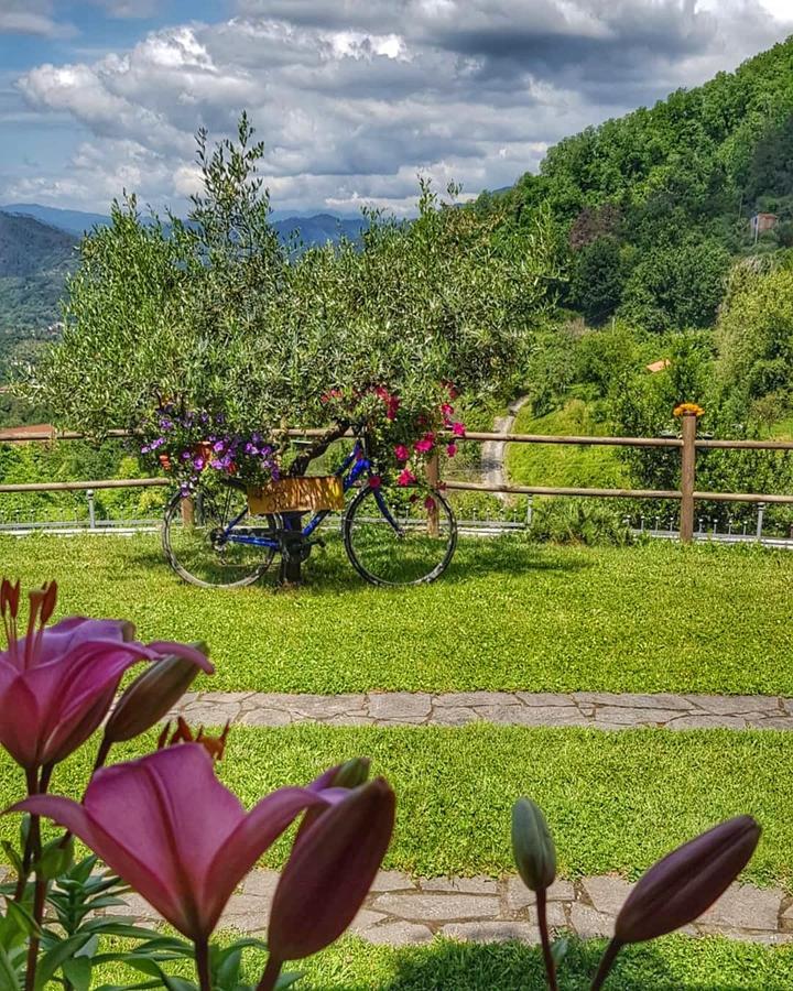 Relax Nella Natura Bolano Dış mekan fotoğraf