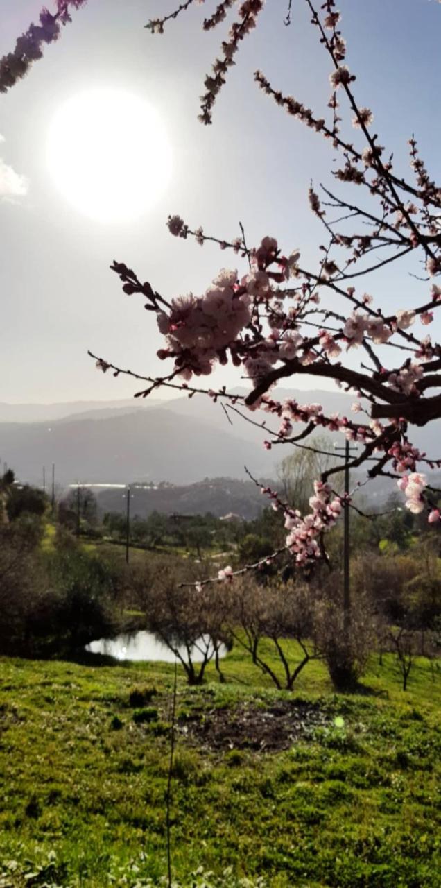 Relax Nella Natura Bolano Dış mekan fotoğraf